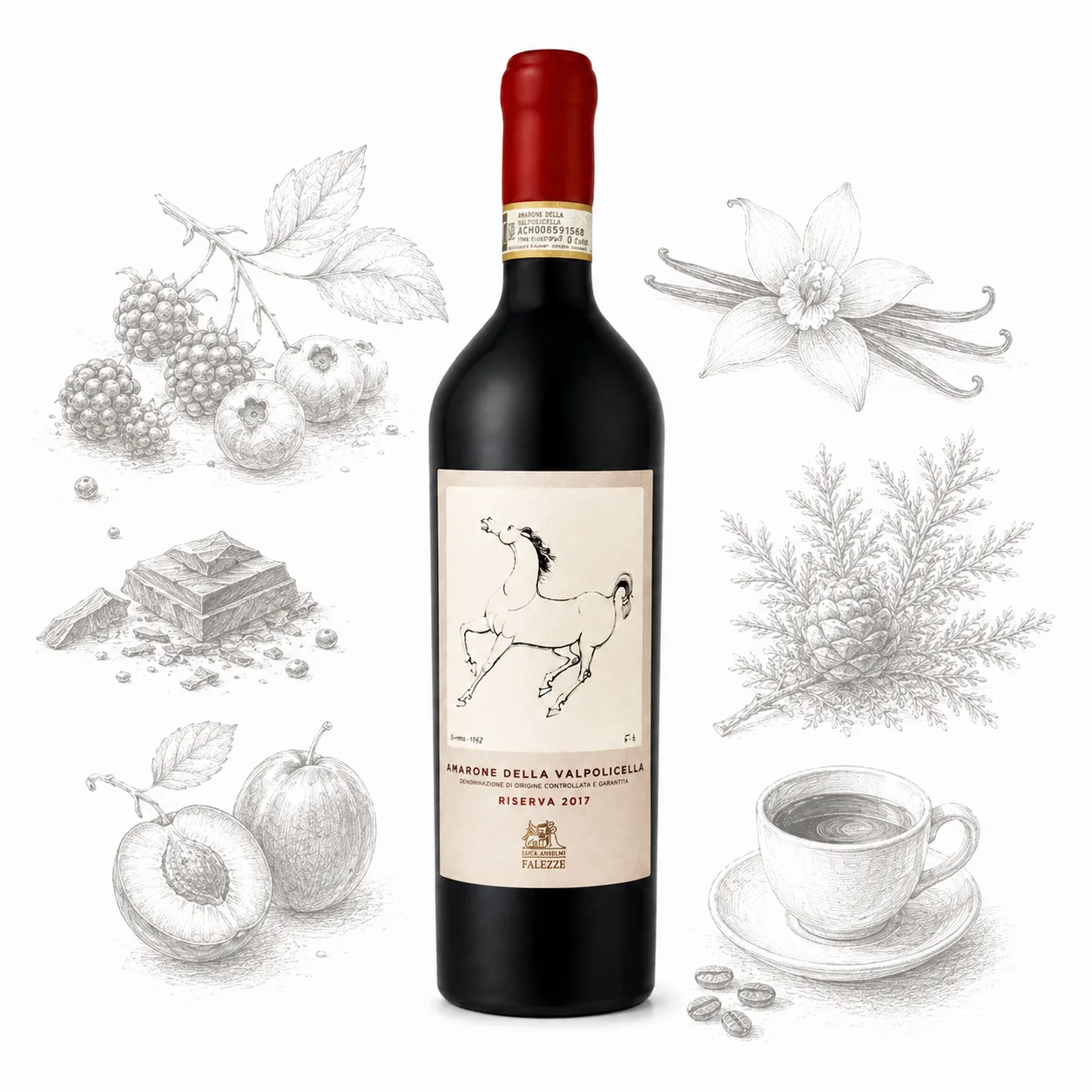 Amarone della Valpolicella Riserva 2017 